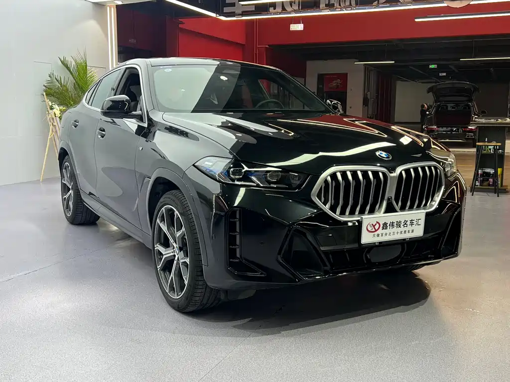 BMW X6 2023 xDrive40i M Sport