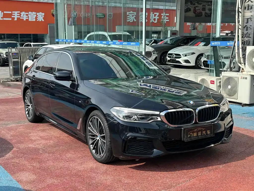 BMW 5 SERIES