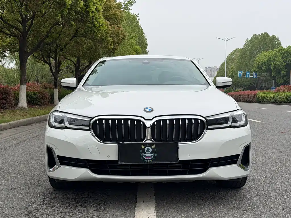 BMW 5 Series 5 2021 525Li Luxury