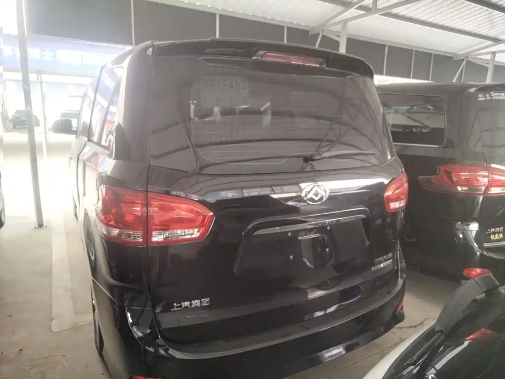 SAIC MAXUS CHASE G10