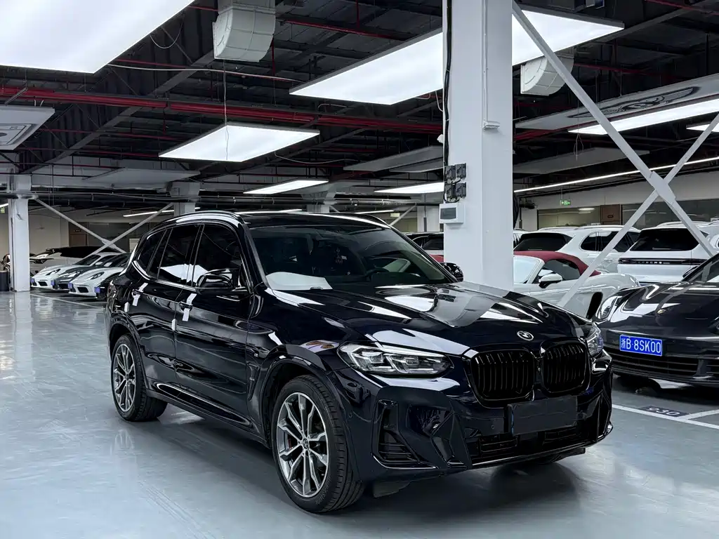 BMW X3 — миниатюра 3