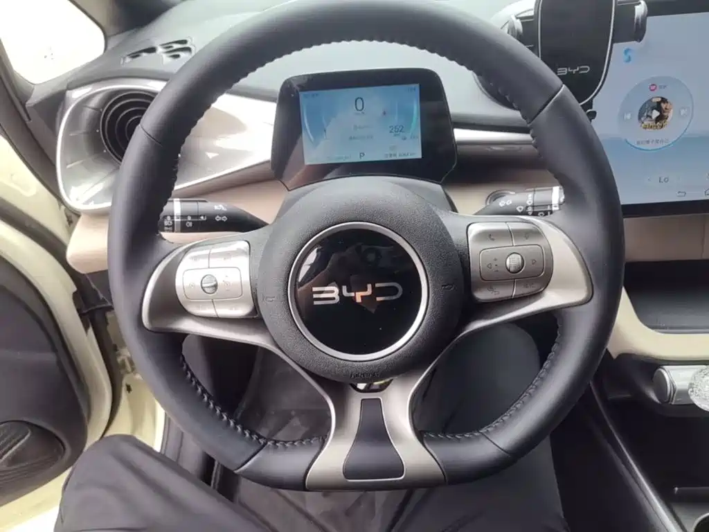 BYD Dolphin — миниатюра 11
