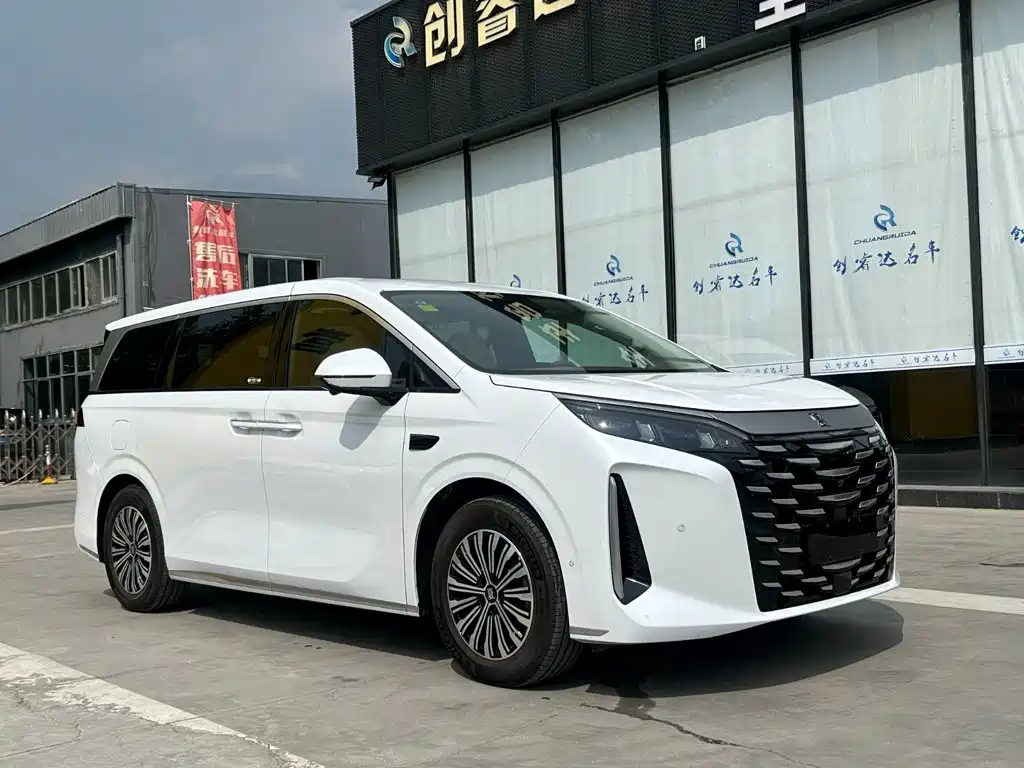 BYD Xia — миниатюра 3