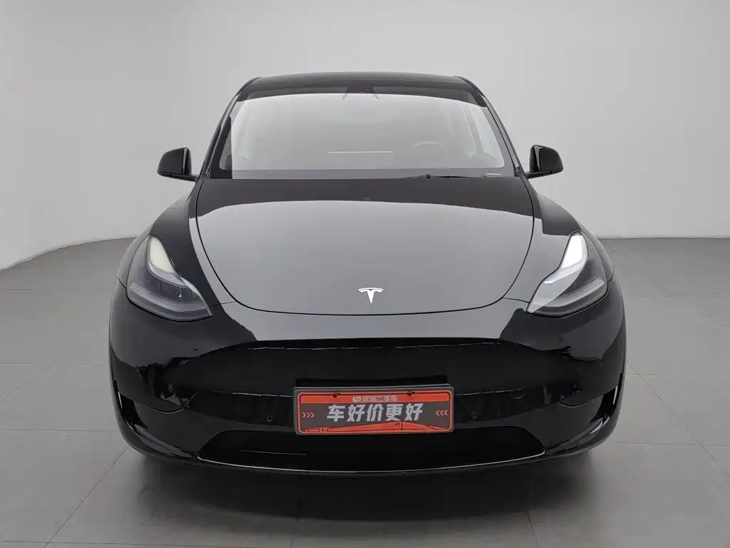 Tesla Model Y — миниатюра 3