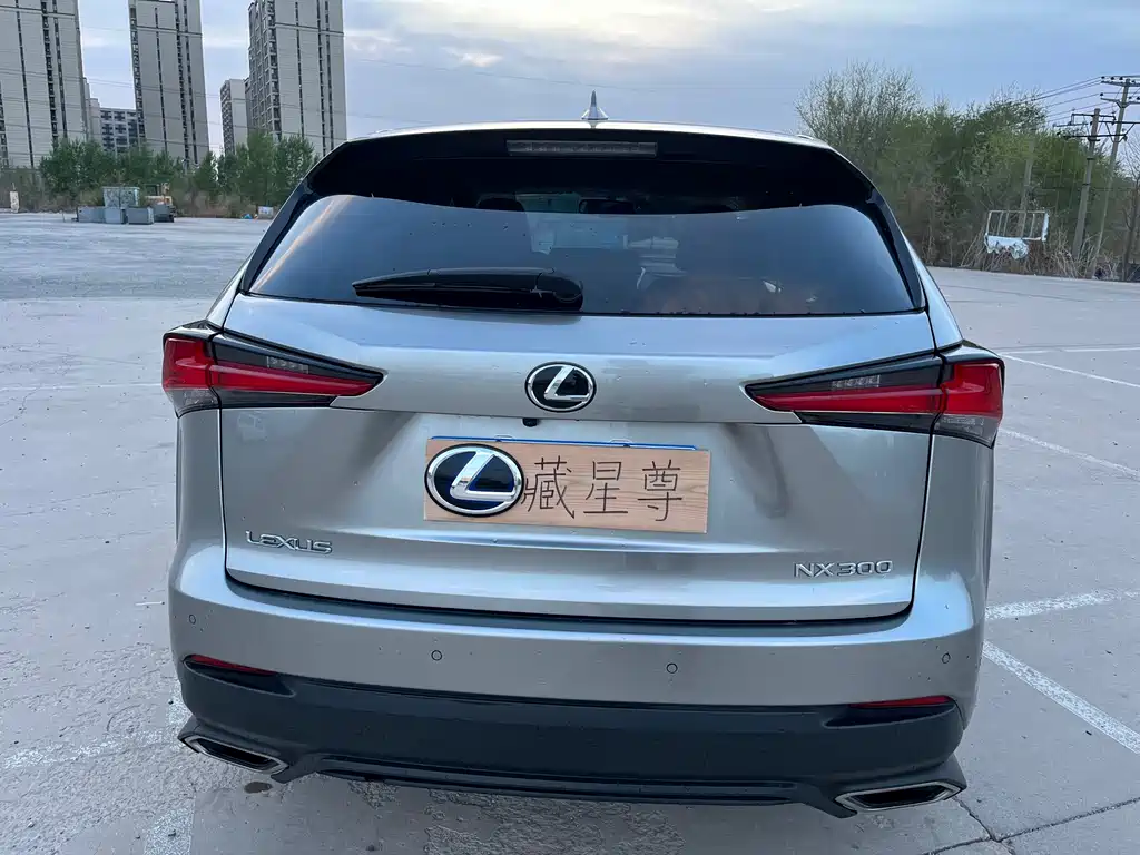 Lexus NX — миниатюра 7