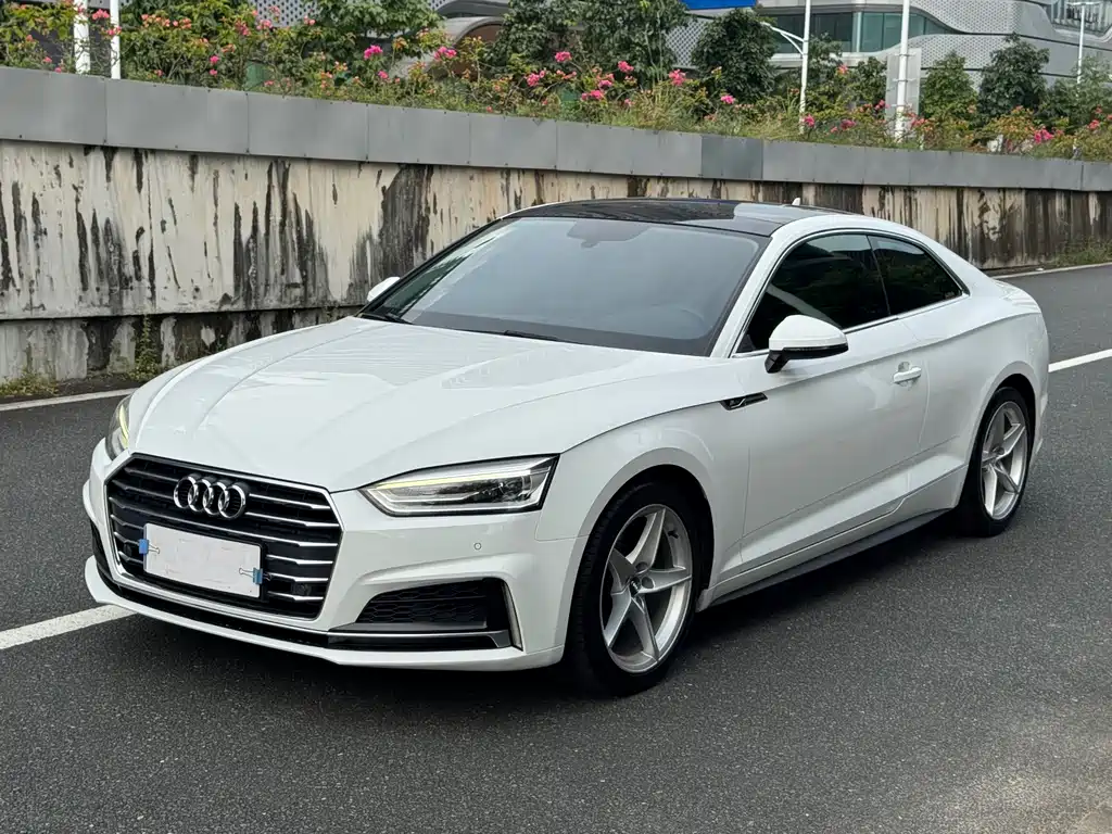 Audi A5 (Import)
