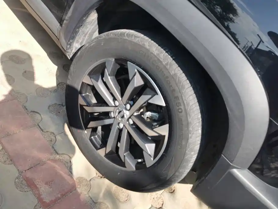 Haval Big Dog — миниатюра 6