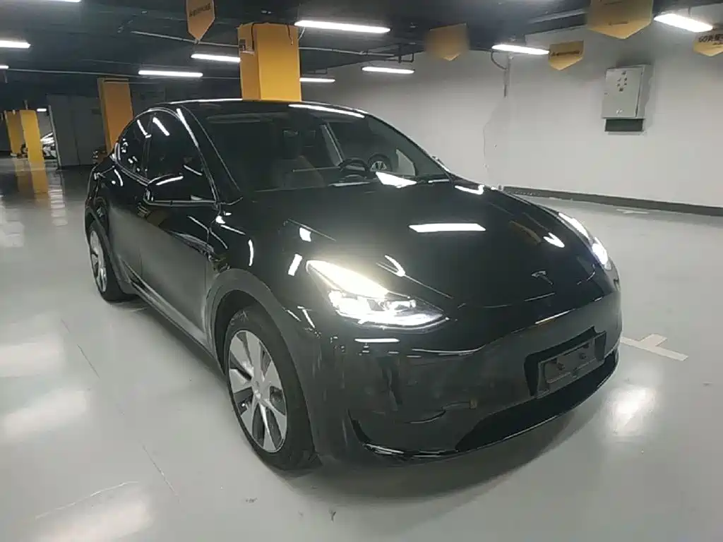Tesla Model Y — миниатюра 4