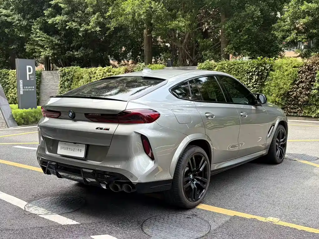 BMW X6 M — миниатюра 6