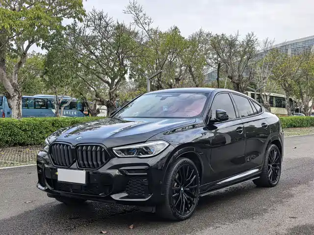 BMW X6
