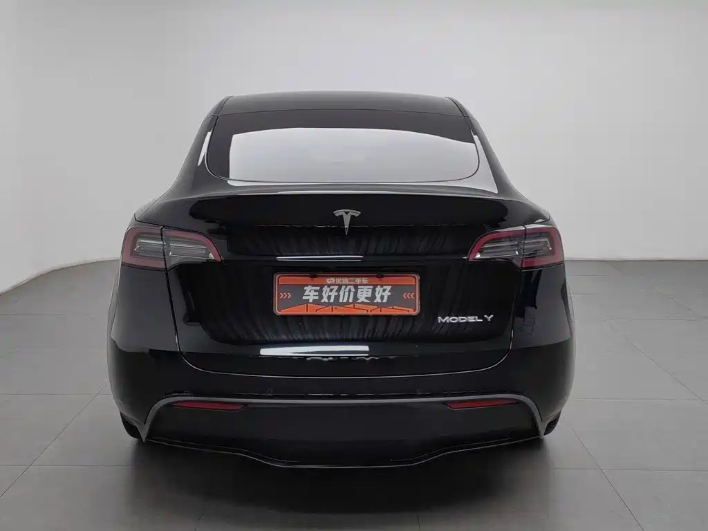 Tesla Model Y — миниатюра 4