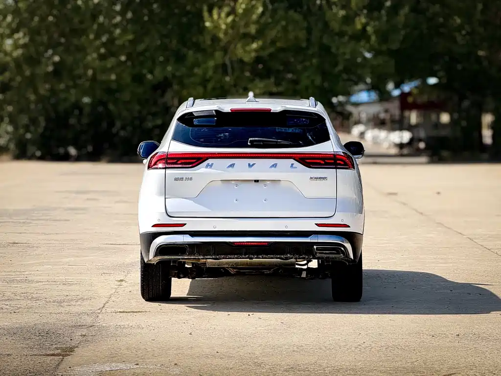 Haval H6 — миниатюра 5