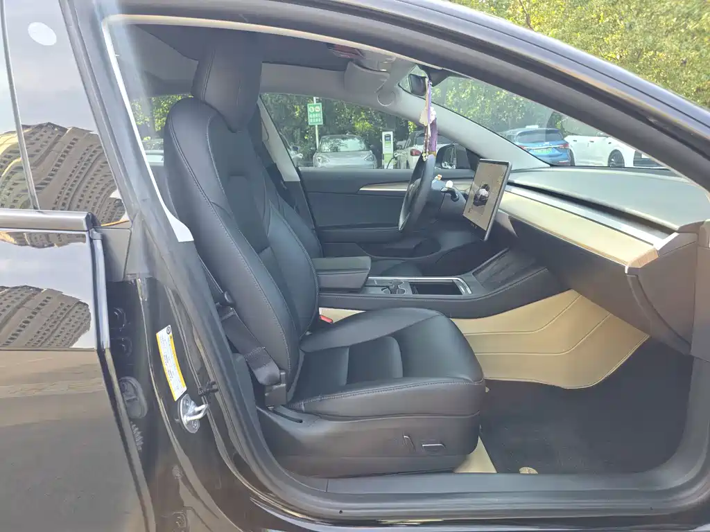 Tesla Model 3 — миниатюра 14