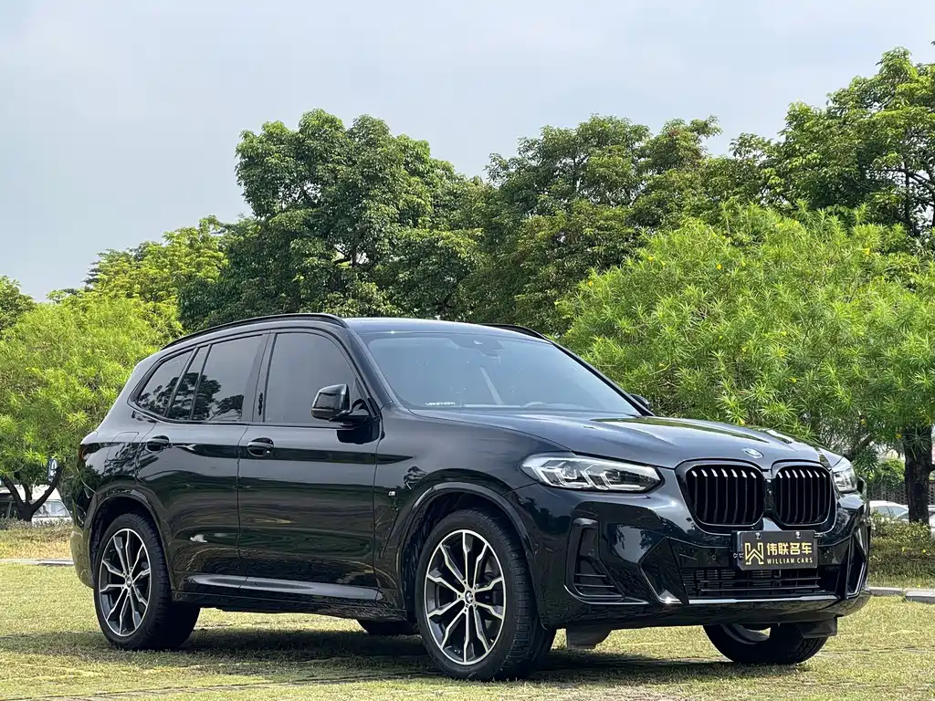 BMW X3 — миниатюра 3