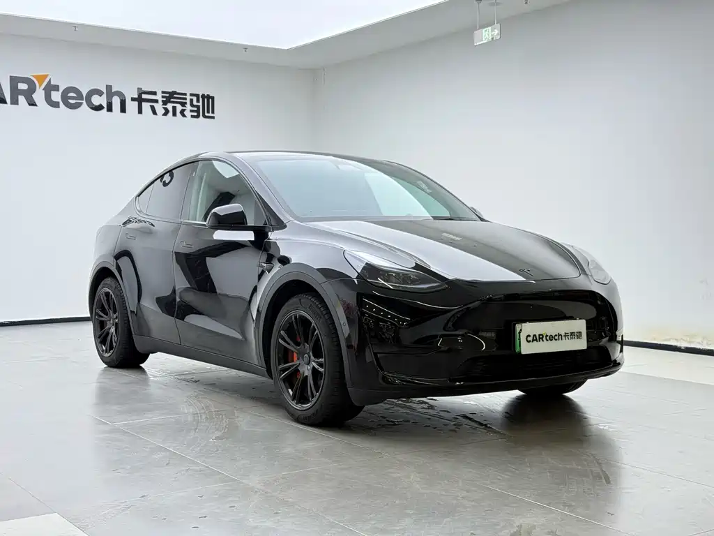 Tesla Model Y — миниатюра 6