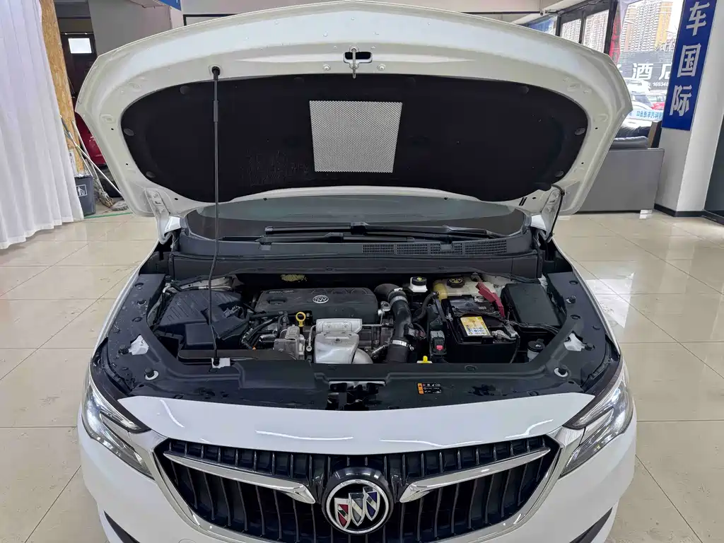 Buick GL6 — миниатюра 20