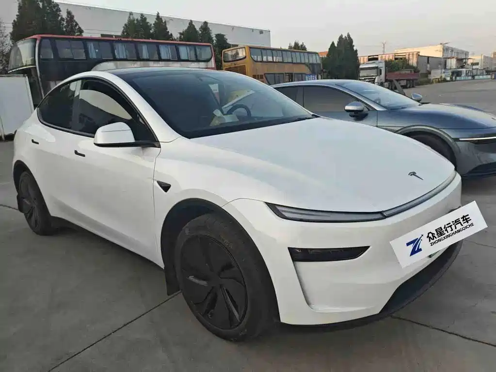 Tesla Model Y — миниатюра 9