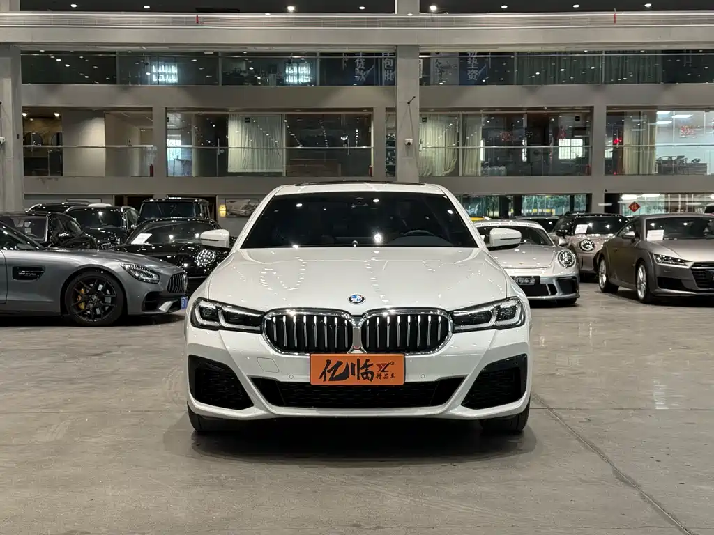 BMW 5 SERIES