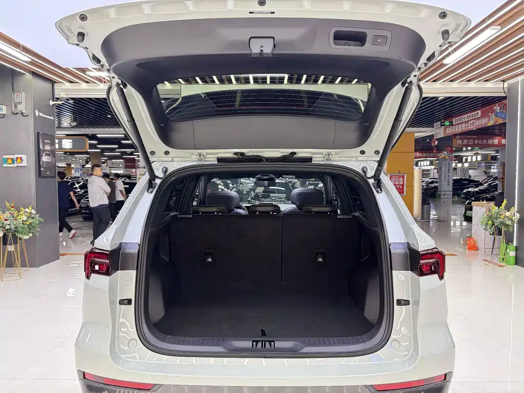 Ford Equator Sport New Energy — миниатюра 18