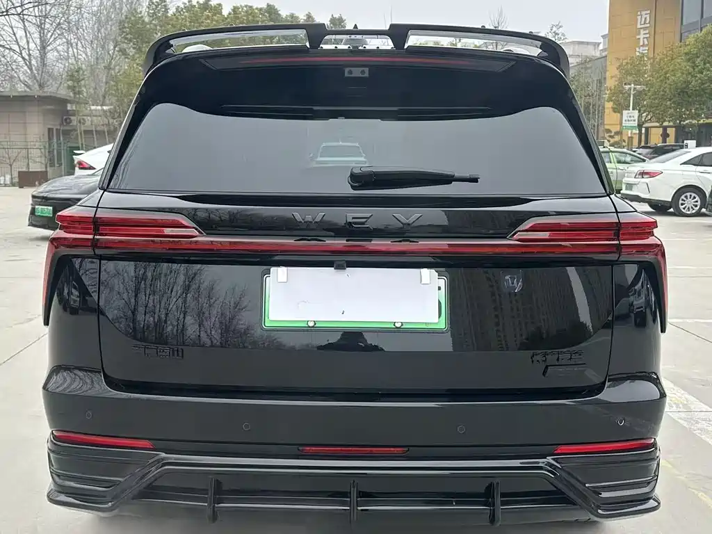 WEI PAI WEI BRAND BLUE MOUNTAIN