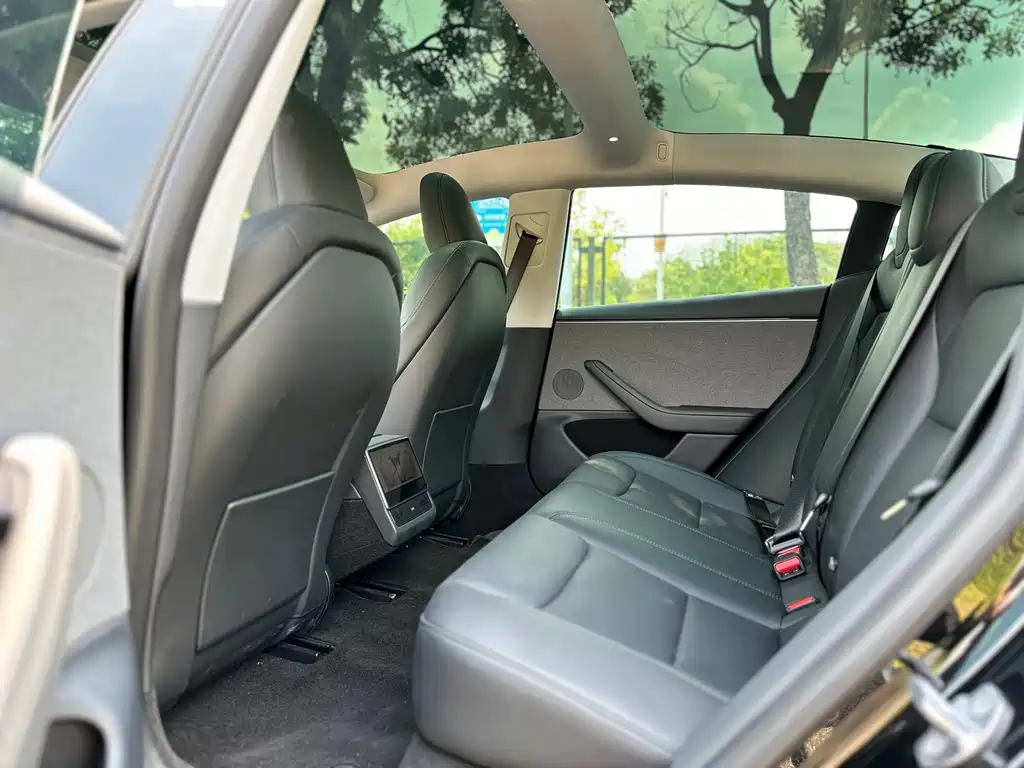 Tesla Model 3 — миниатюра 12