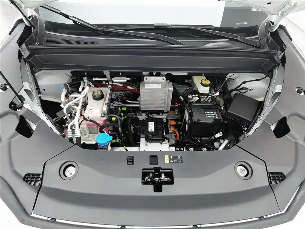 TOYOTA PLATINUM WISDOM 3X