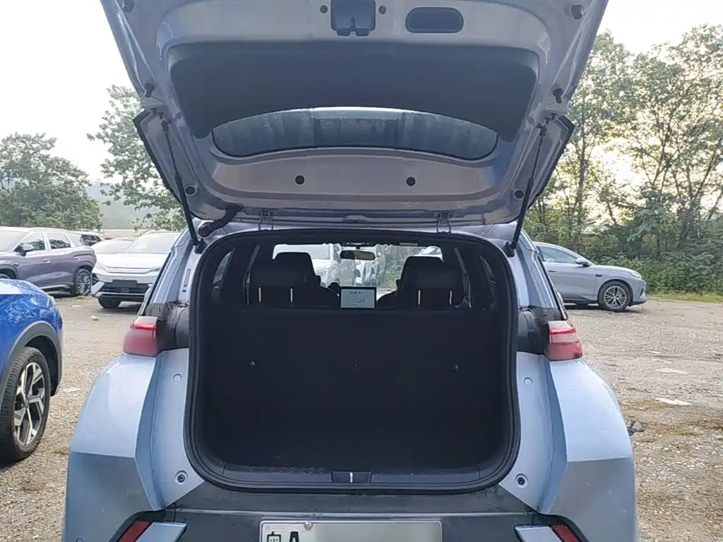 BYD Seagull — миниатюра 19