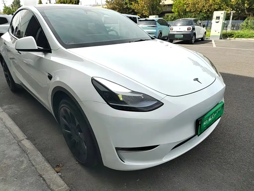 Tesla Model Y — миниатюра 4
