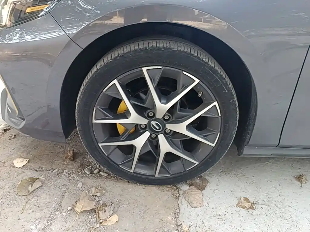 GAC Motor Shadow Leopard — миниатюра 23
