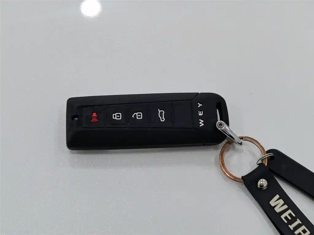 WEI PAI WEI BRAND VV5