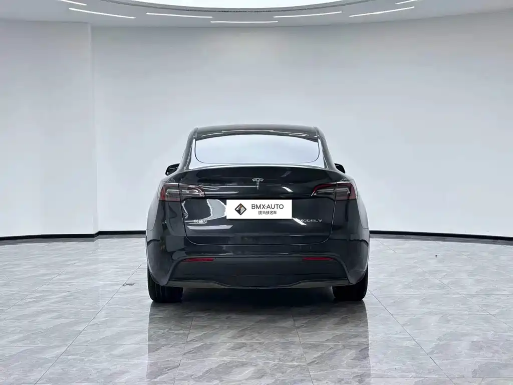 Tesla Model Y — миниатюра 2