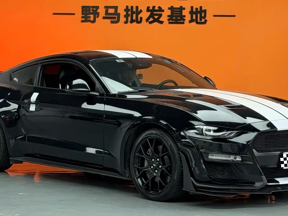 Ford Mustang — миниатюра 2