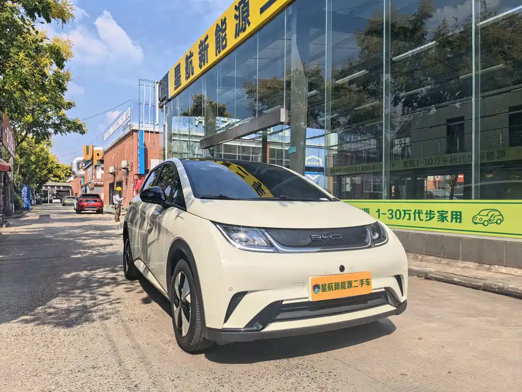 BYD Dolphin — миниатюра 3