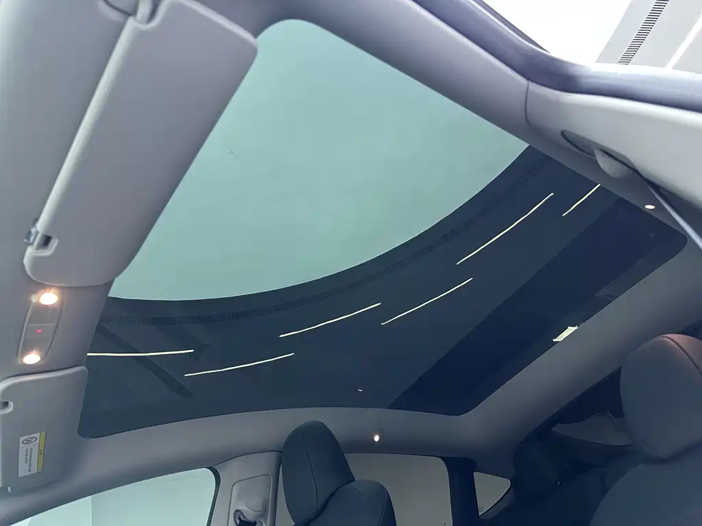 Tesla Model Y — миниатюра 19