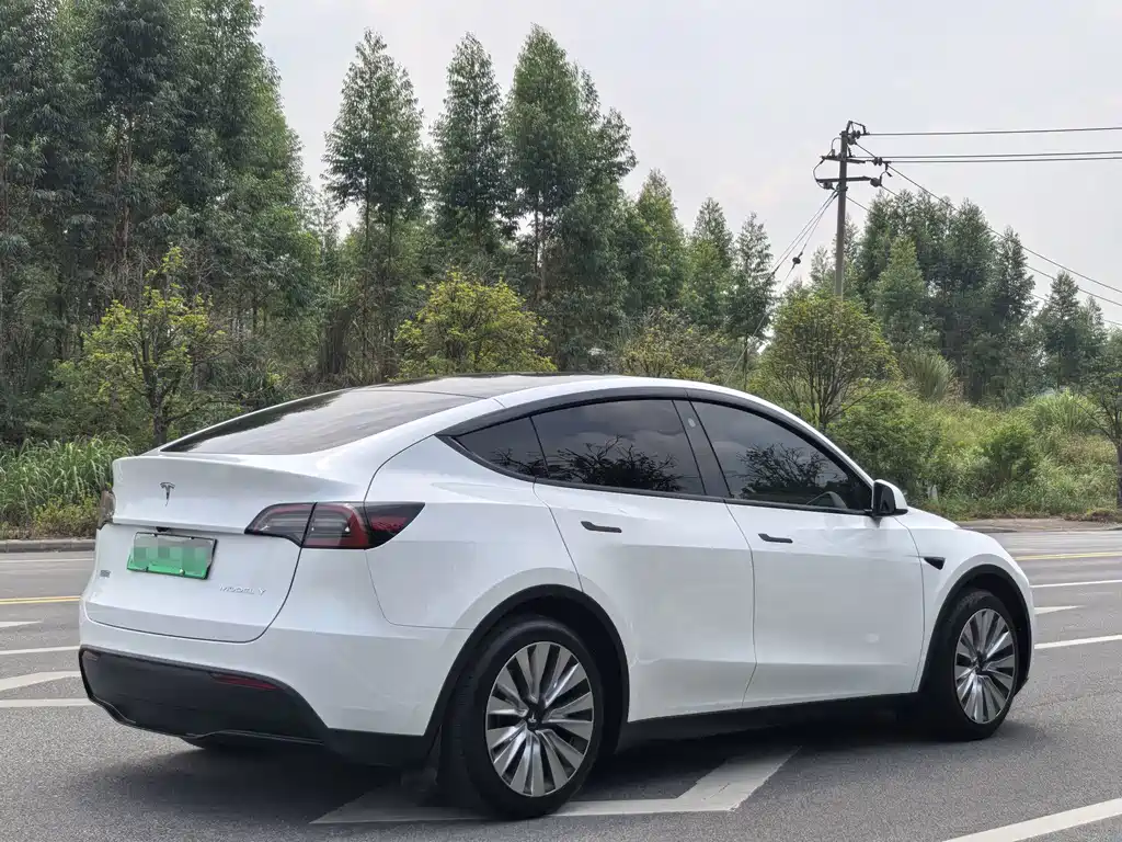 Tesla Model Y — миниатюра 5