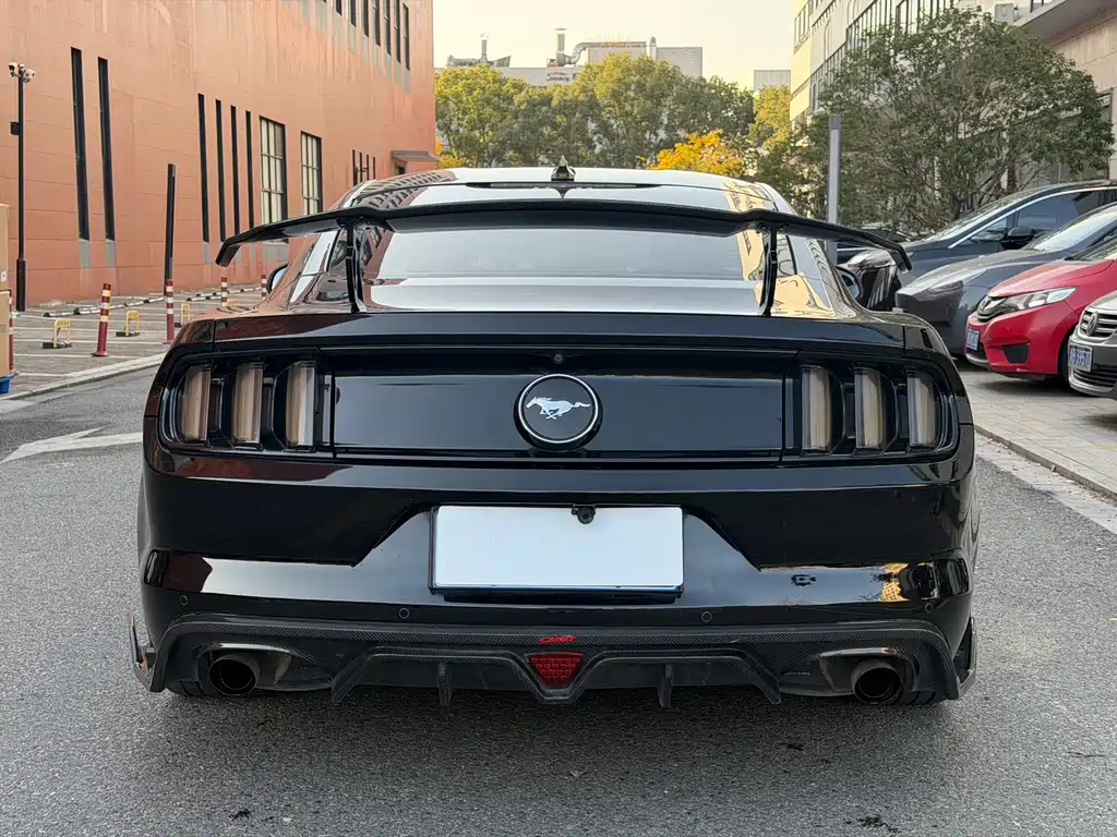Ford Mustang — миниатюра 16