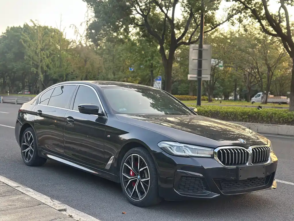 BMW 5 Series 5 2022 530Li Premium M Sport