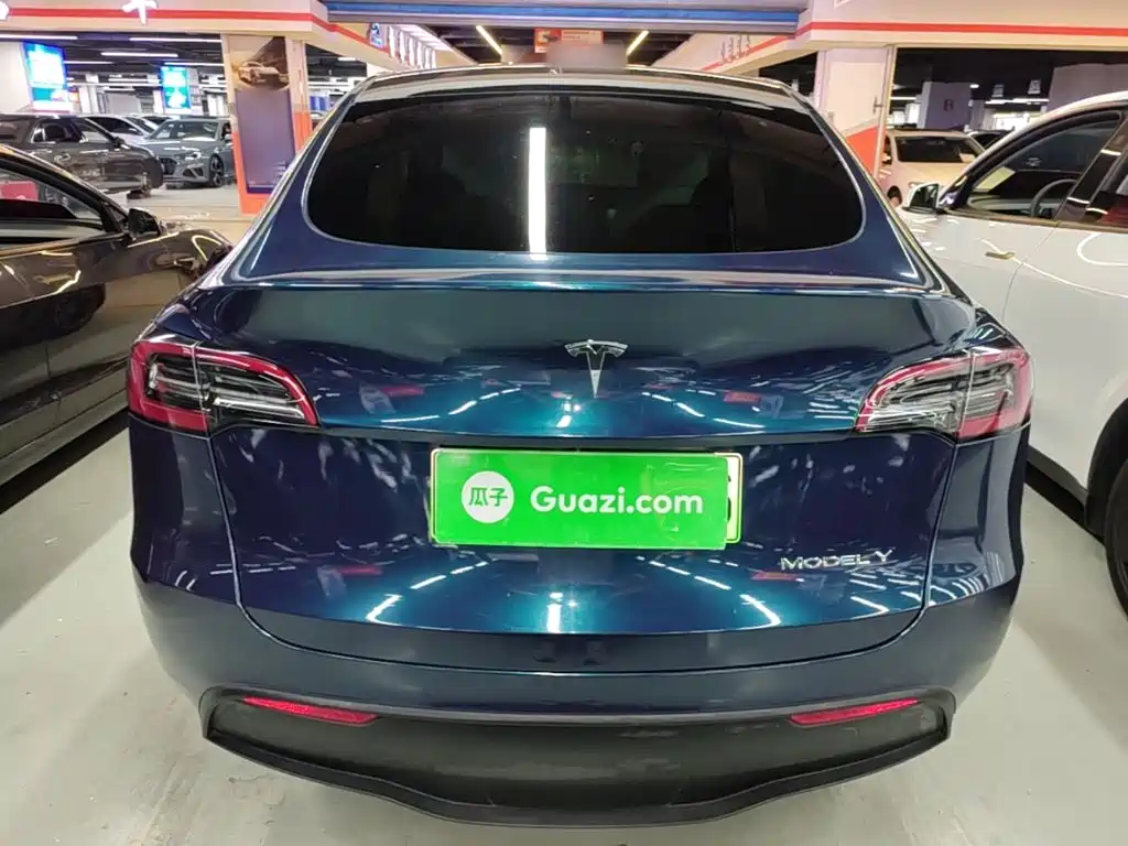 Tesla Model Y — миниатюра 6