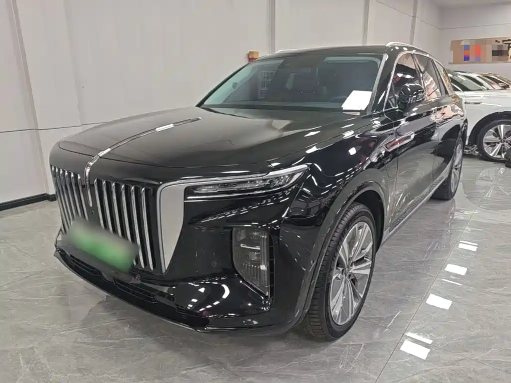 Hongqi Hongqi E-HS9 — миниатюра 2