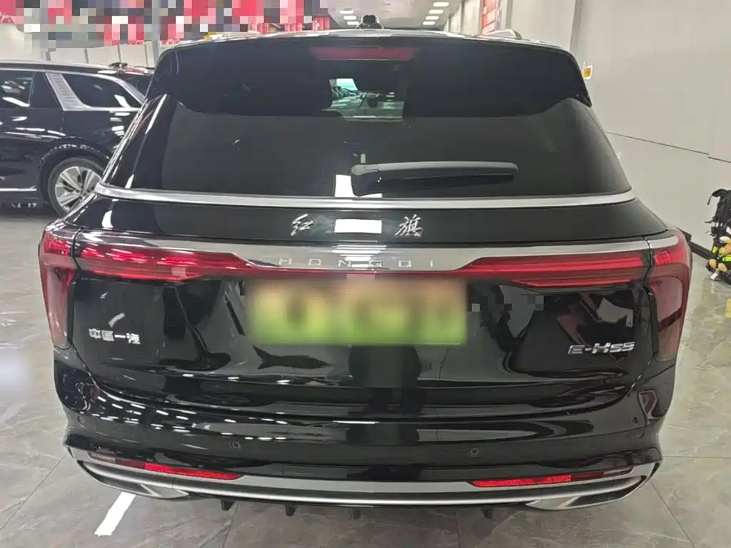 Hongqi Hongqi E-HS9 — миниатюра 6