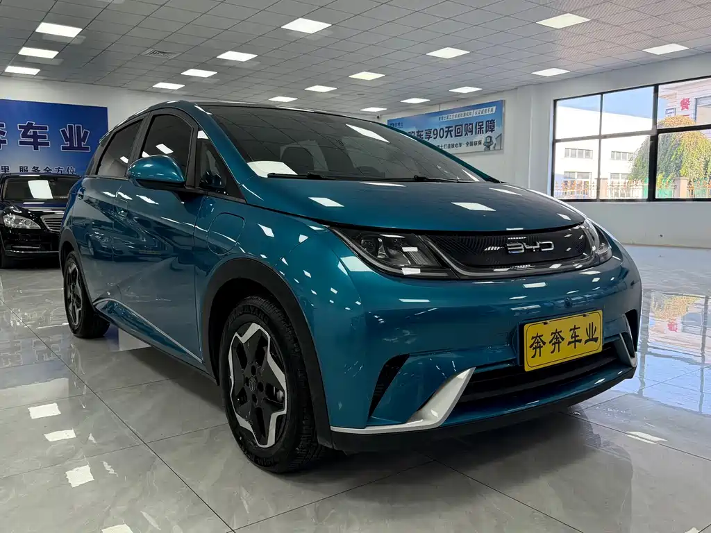 BYD Dolphin — миниатюра 3