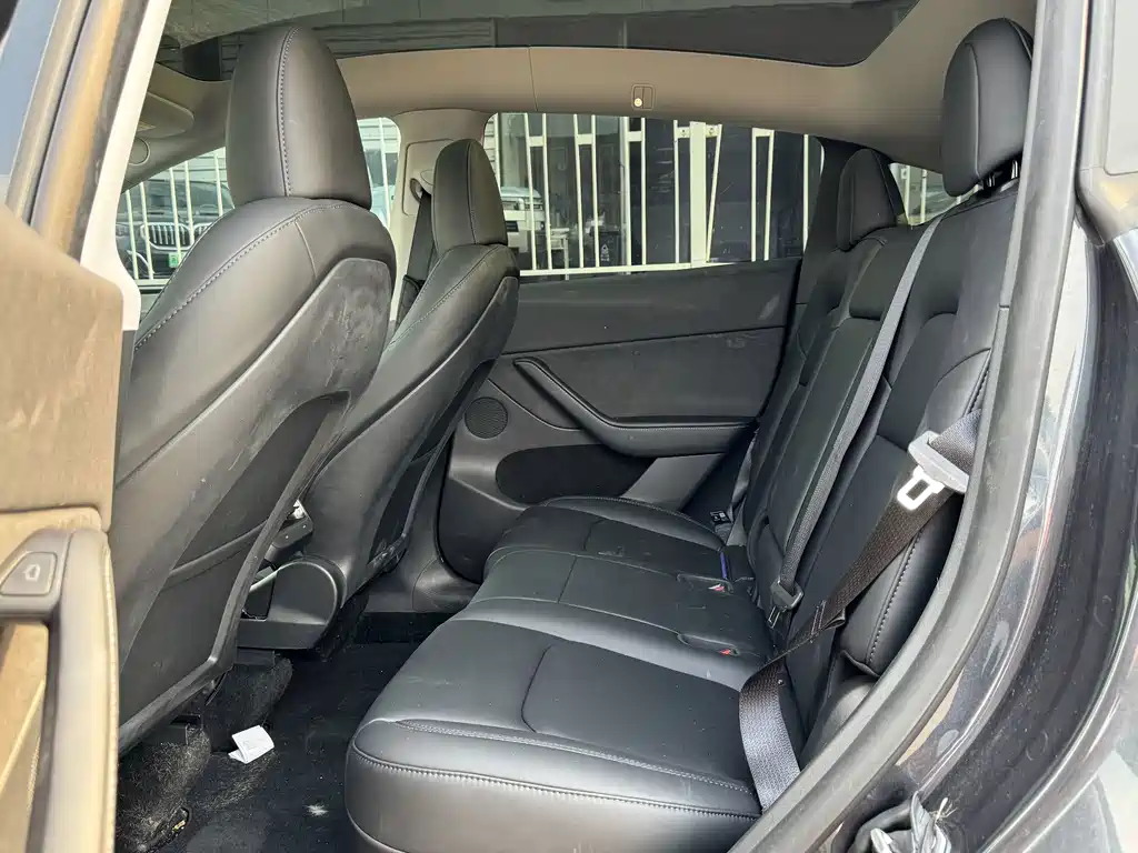 Tesla Model Y — миниатюра 12