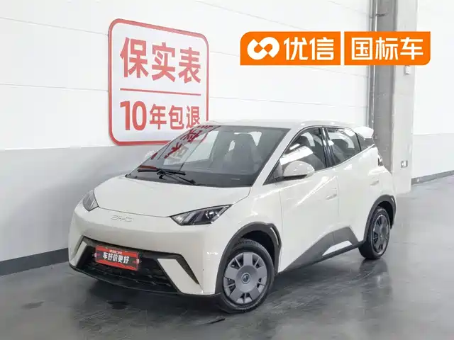 2024 BYD Seagull
