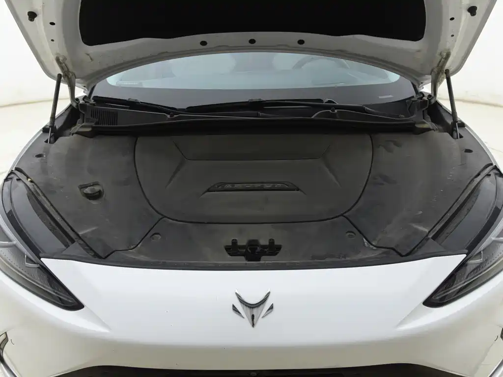 ARCFOX EXTREME FOX POLAR FOX ALPHA S