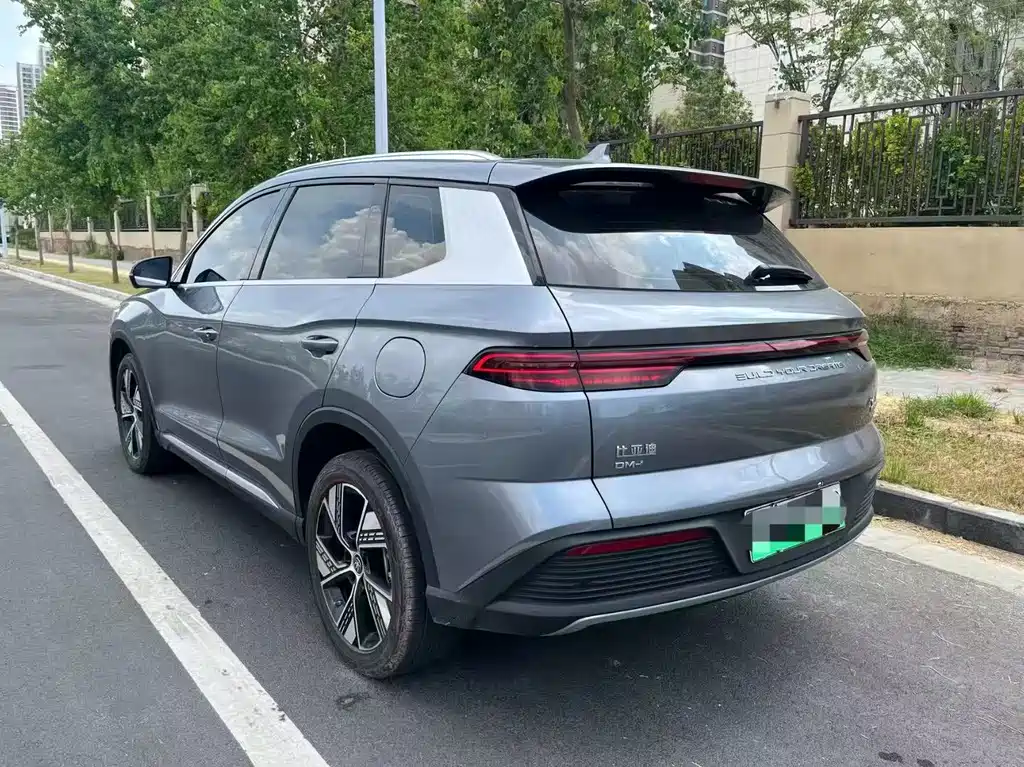 BYD SONGJIANG NEW ENERGY