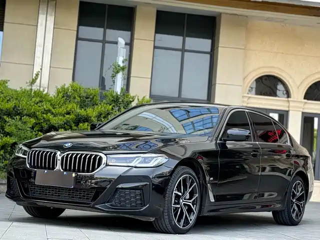BMW 5 SERIES 2019