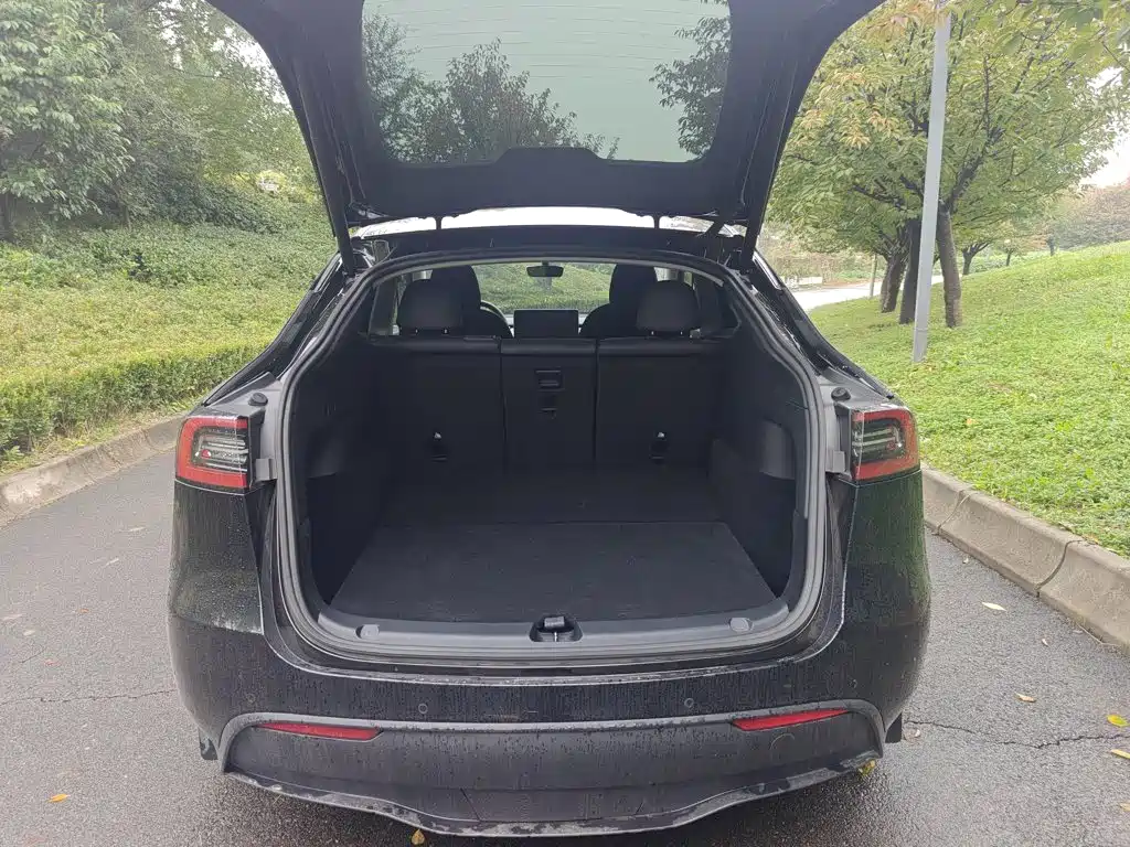 Tesla Model Y — миниатюра 4