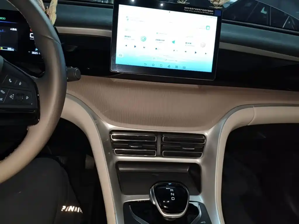 BYD Pro New Energy — миниатюра 13