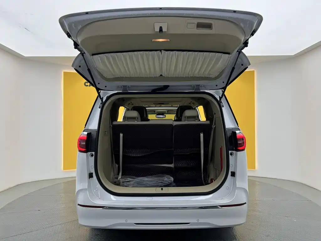 Buick GL8 — миниатюра 14
