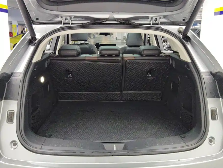 WEI PAI WEI BRAND VV5